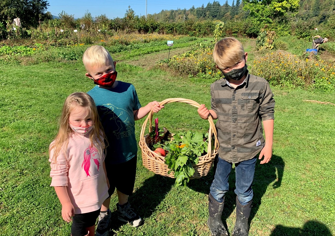 Oxbow Farm Offers Fun and Engaging Private Field Trips for SeattleArea